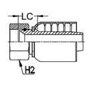 1 - 5/8&quot; JIC FEMALE STRAIGHT X 1 - 1/4&quot; 1-PIECE 1 &amp; 2-WIRE TAIL