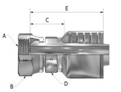 [K007-0404] 1/4&quot; NPSM (NPT) female X 1/4&quot; K Series 1pc hosetail to suit 1 W/B &amp; 2 W/B hose - Straight 